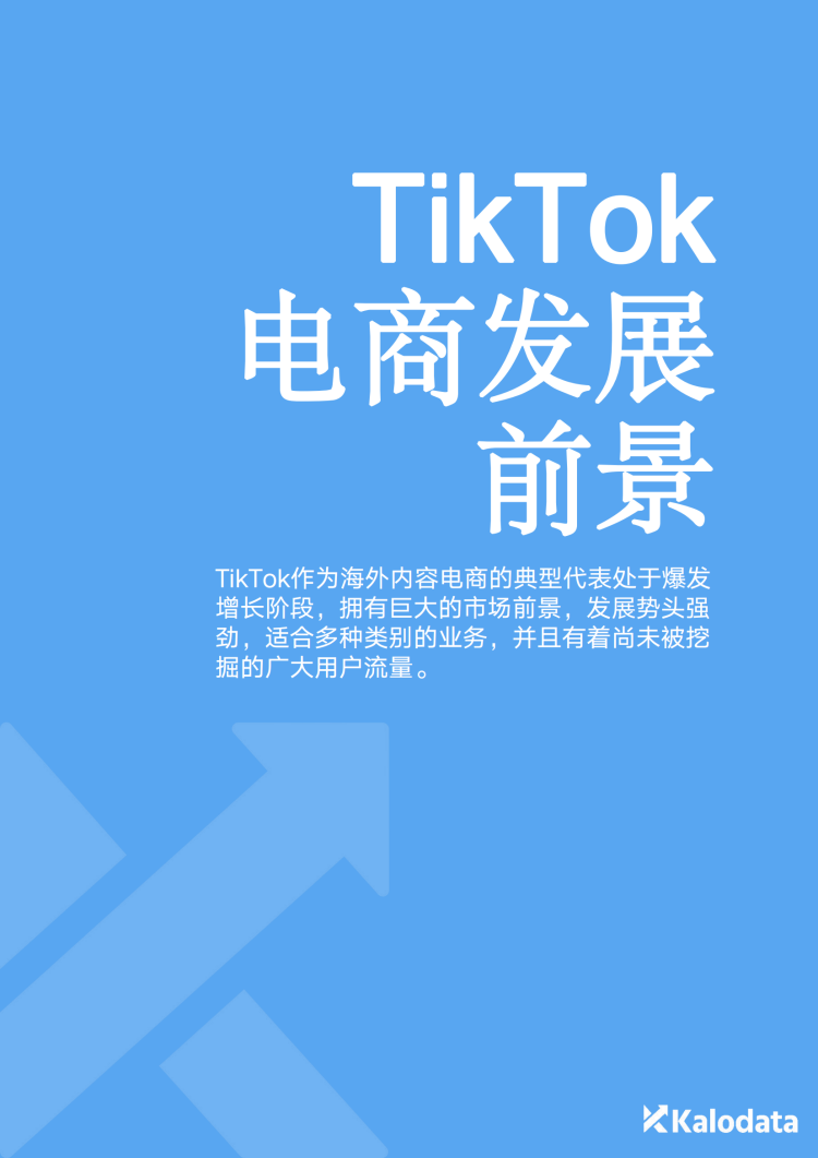 2024102114305733 2024TikTok电商白皮书